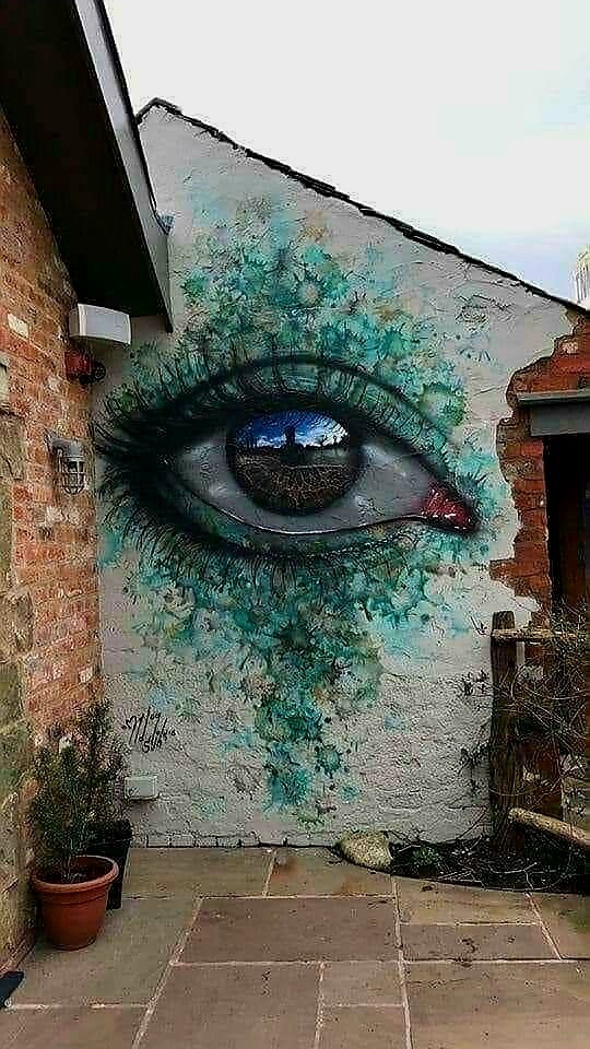 Ceropegia tweet media