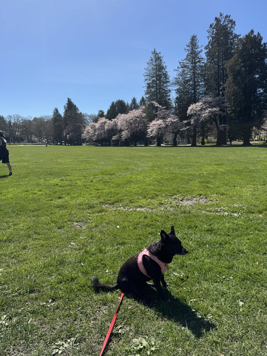 Marina Kelly tweet media