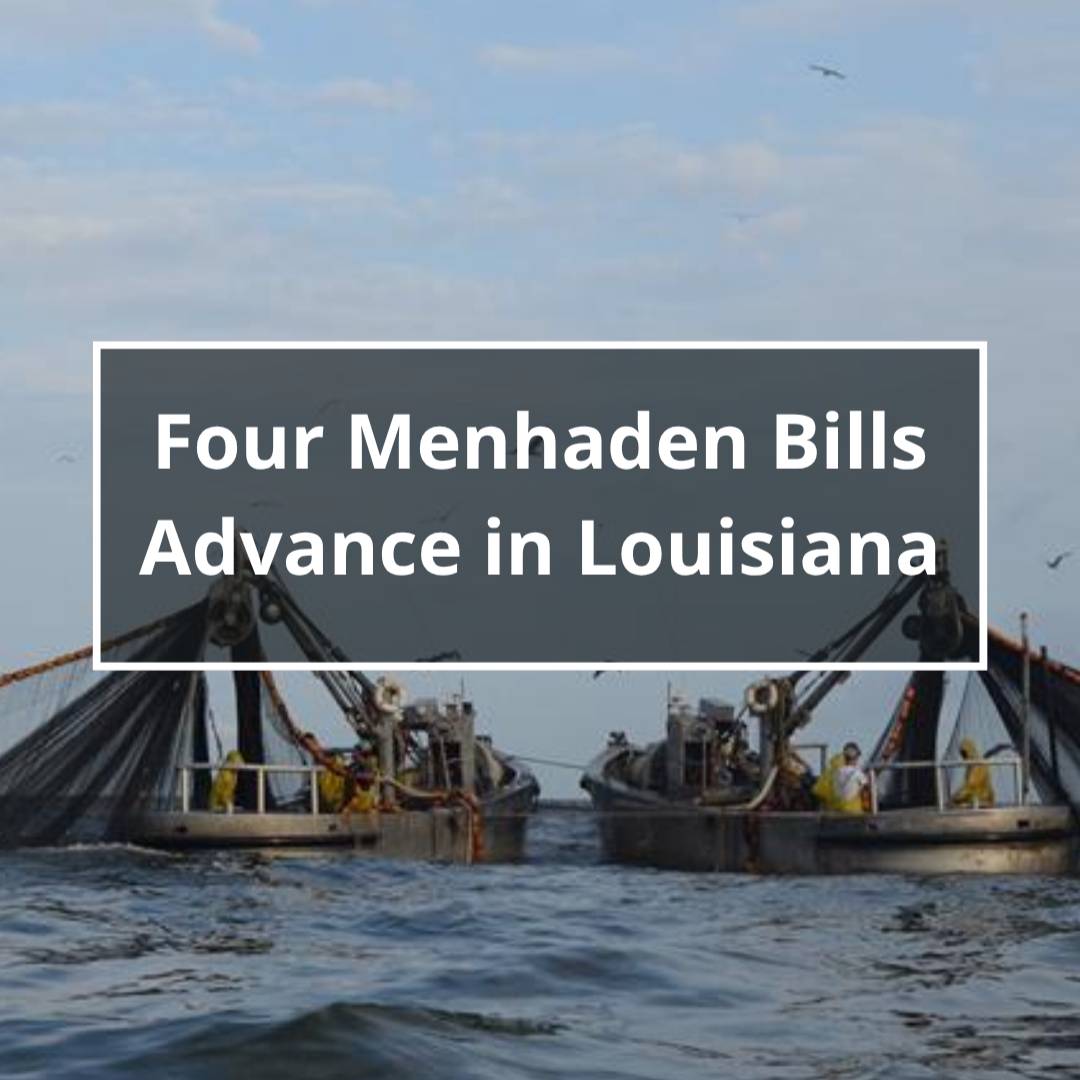 The TRCP tweet media