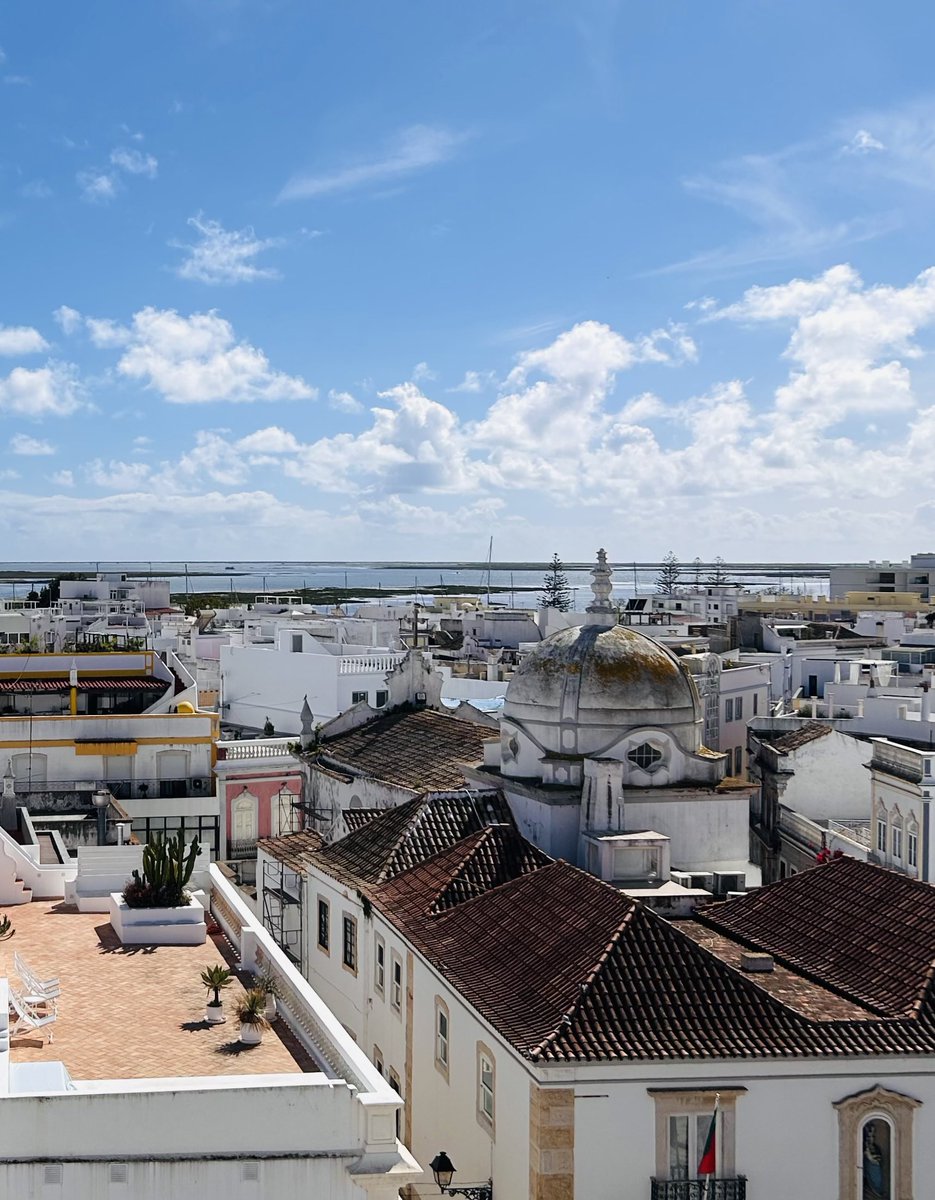 Maria Barros tweet media