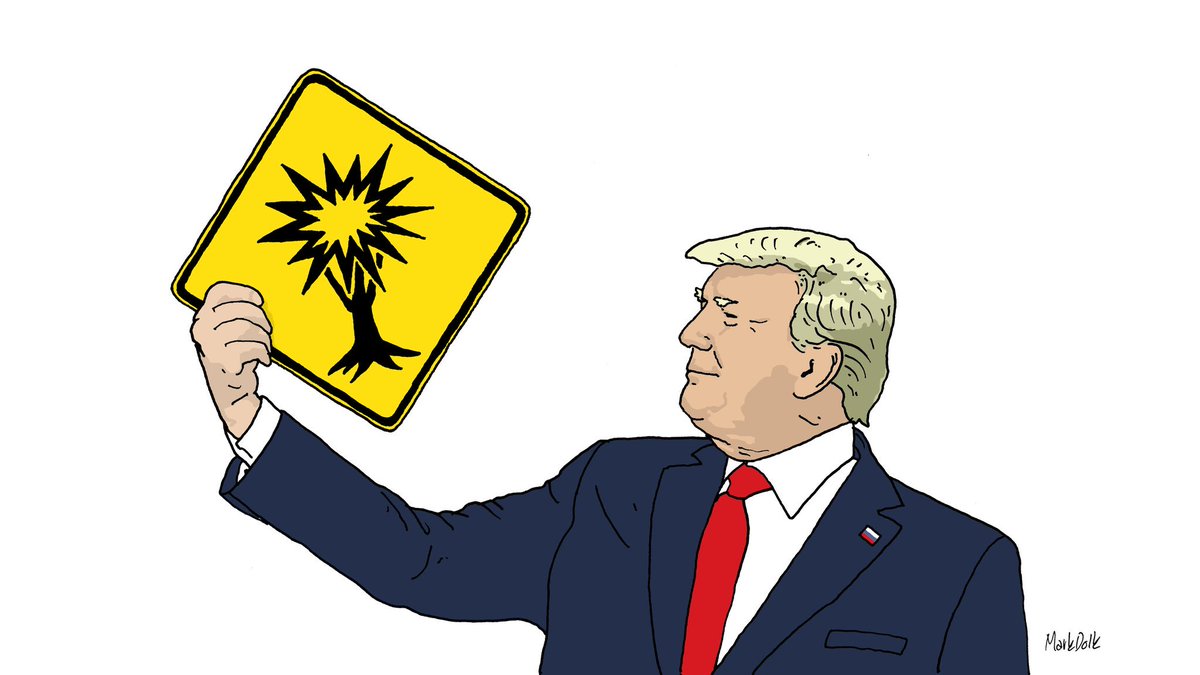 Mark Dolk tweet media