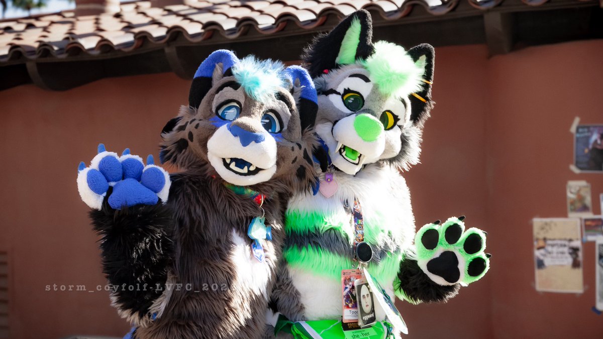 What of Kind You of What Dog Kind Are Dog You????? tweet media