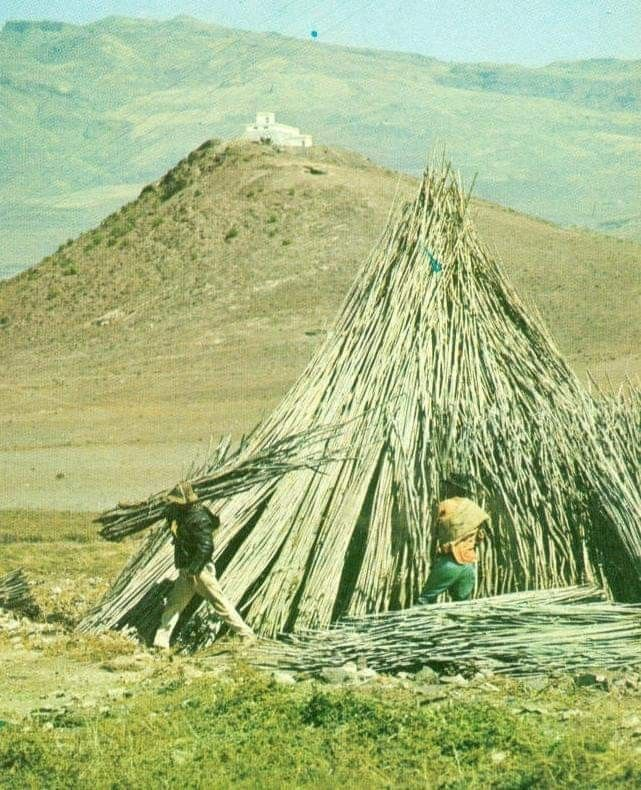 Canarismo tweet media