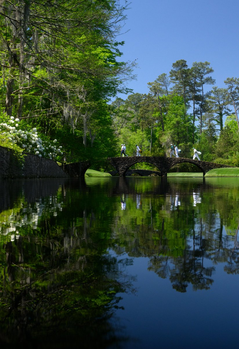 The Masters tweet media