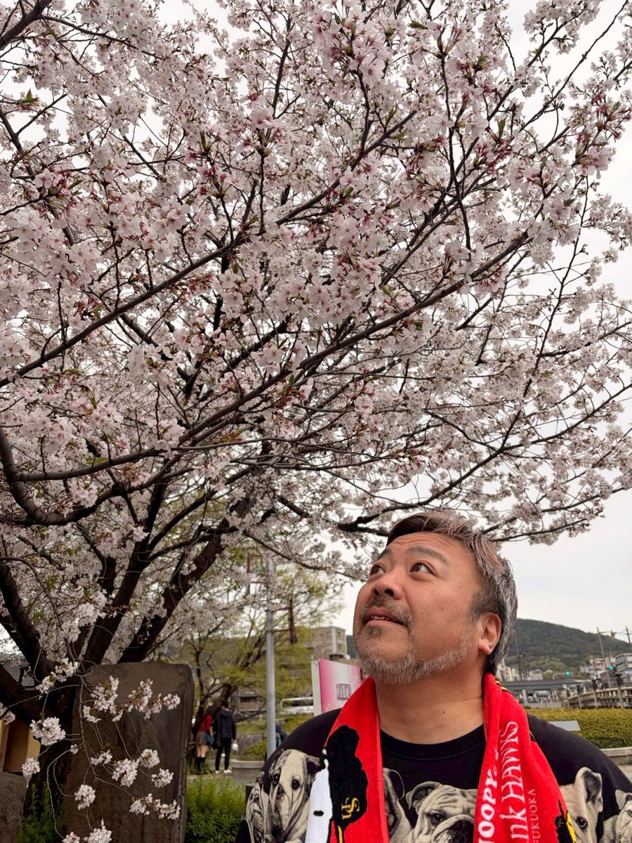 ユーミンバー　キャラメルママ tweet media