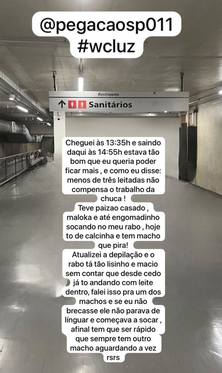 Pegaçãosp011 tweet media