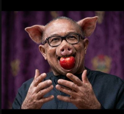 Abbeyhunts tweet media