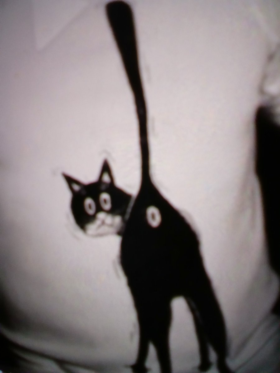 vu_et_conu tweet media