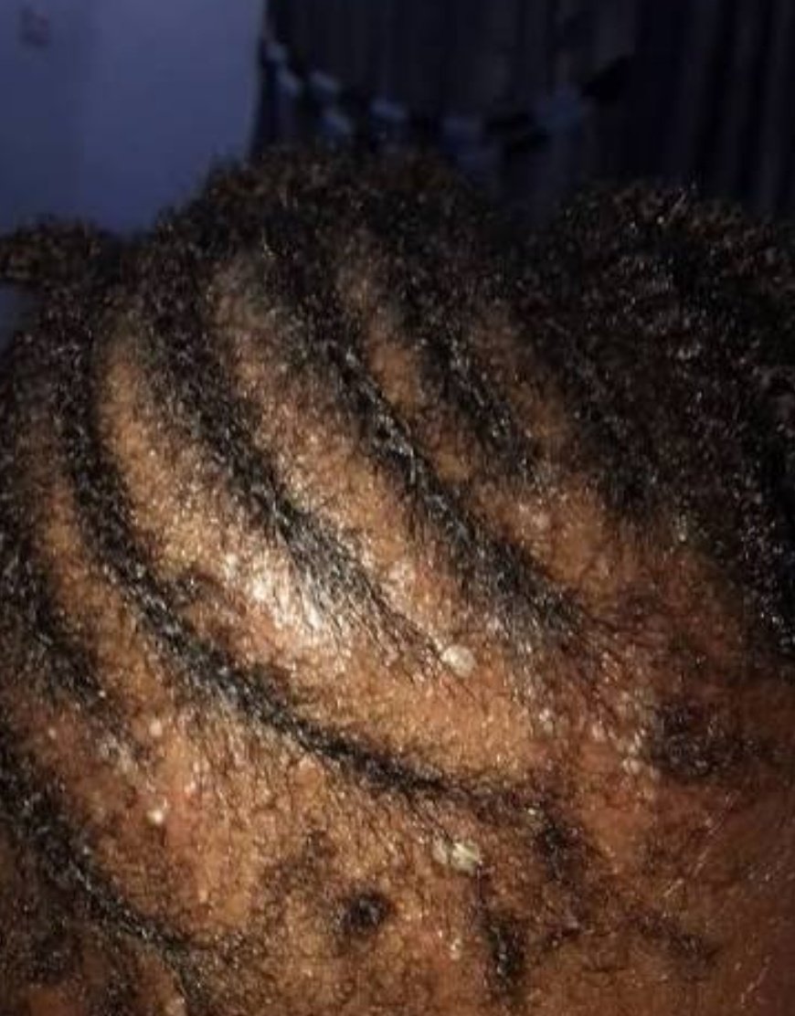 The_Face_Less tweet media