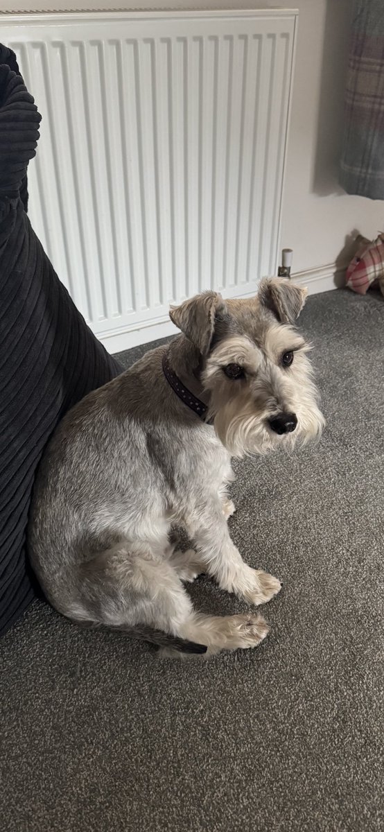 A View From Yorkshire 🏴󠁧󠁢󠁥󠁮󠁧󠁿 tweet media