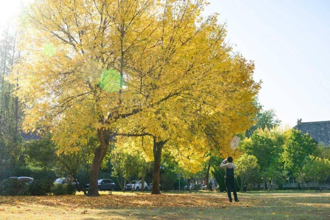 Patricia Woolridge tweet media