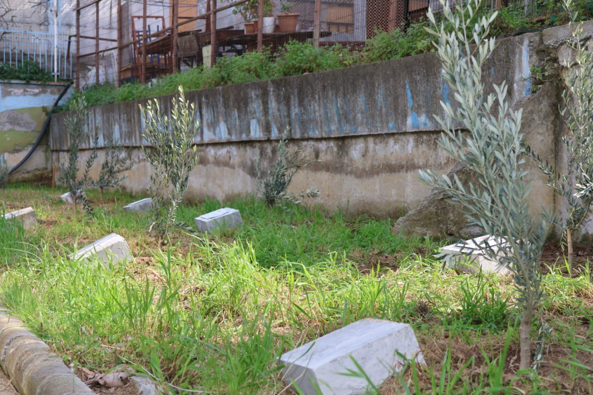 Maltepe İlçe Millî Eğitim Müdürlüğü tweet media