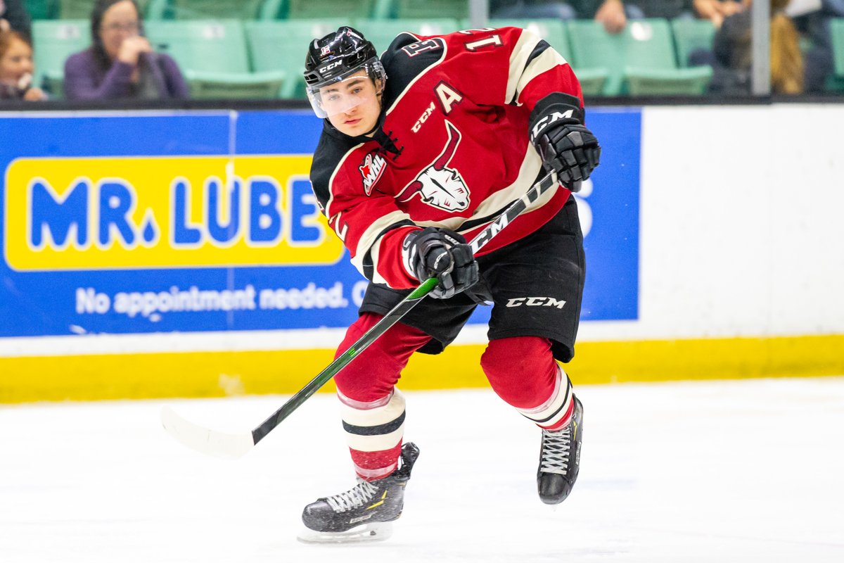 TROY GILLARD 🇨🇦 tweet media