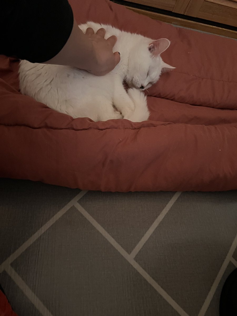 후루룩구루룩 훅끼 🕯️ tweet media