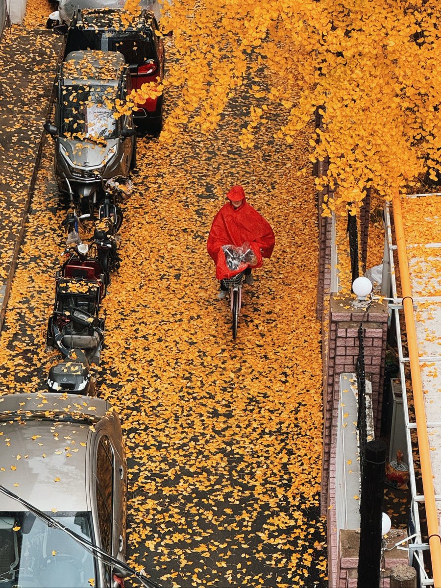 Nicole Spry tweet media