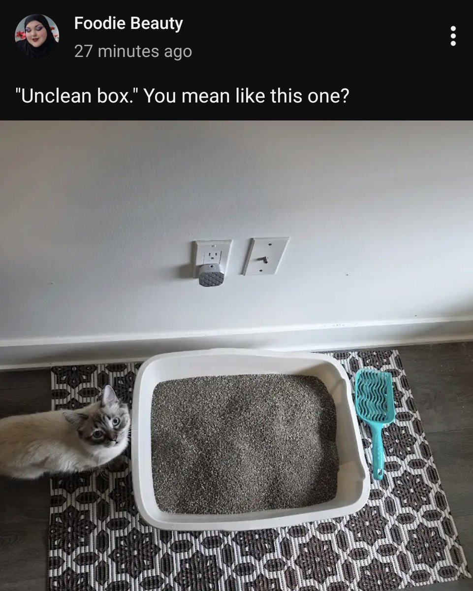 Shannanagins tweet media