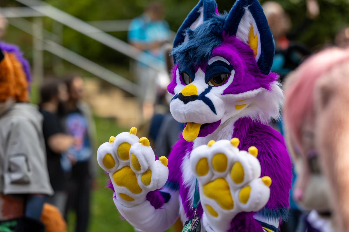 Dargo the Dragon tweet media