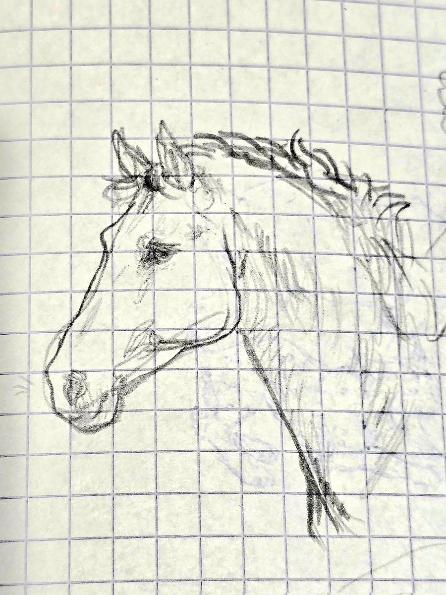 Ruffka🐏🧋 tweet media