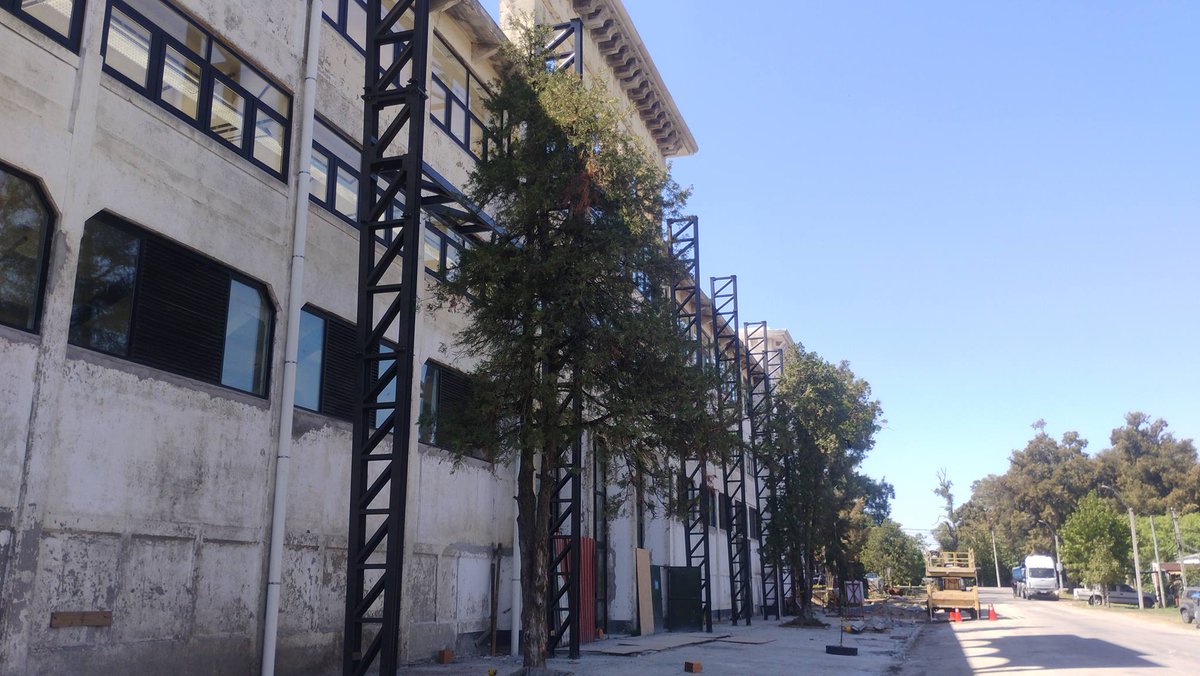 ElshowdelFS's tweet image. #Infraestructura A buen ritmo avanzan las obras del Frontón de Real de San Carlos. A fin de mes estaría techado y en octubre quedará inaugurado. Desde la Intendencia de Colonia aseguran que será "un Polideportivo único en Uruguay" 🙌🏟️

📸  𝙅𝙪𝙡𝙞𝙤 𝘾𝙖𝙨𝙩𝙧𝙞𝙡𝙡𝙤