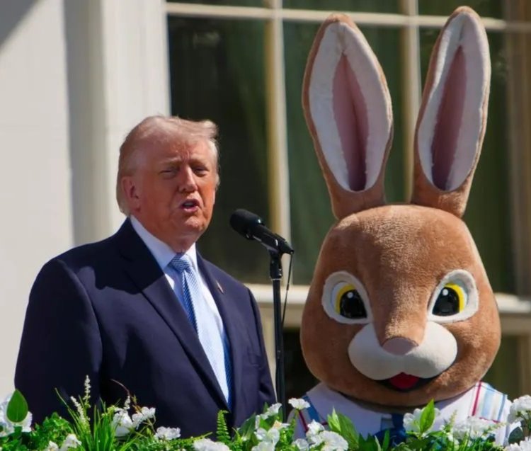 Mn. Jaime Mercant Simó tweet media