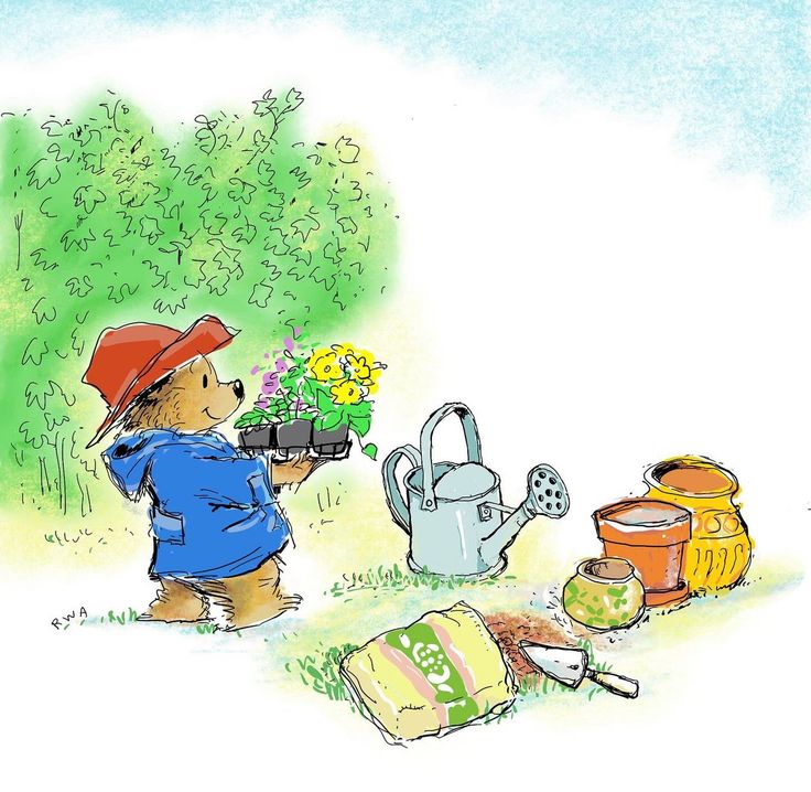 daily paddington tweet media