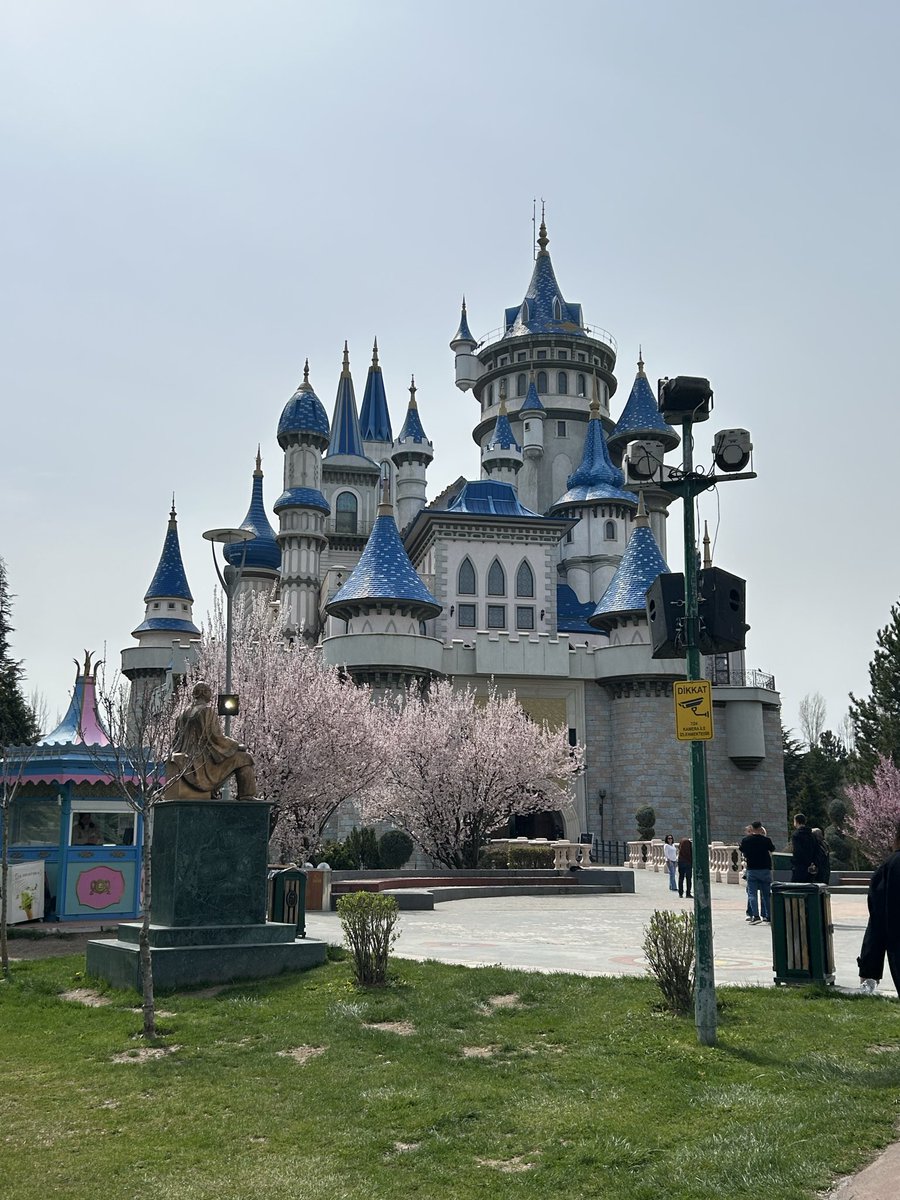 Elvan🧚🏻‍♀️ tweet media