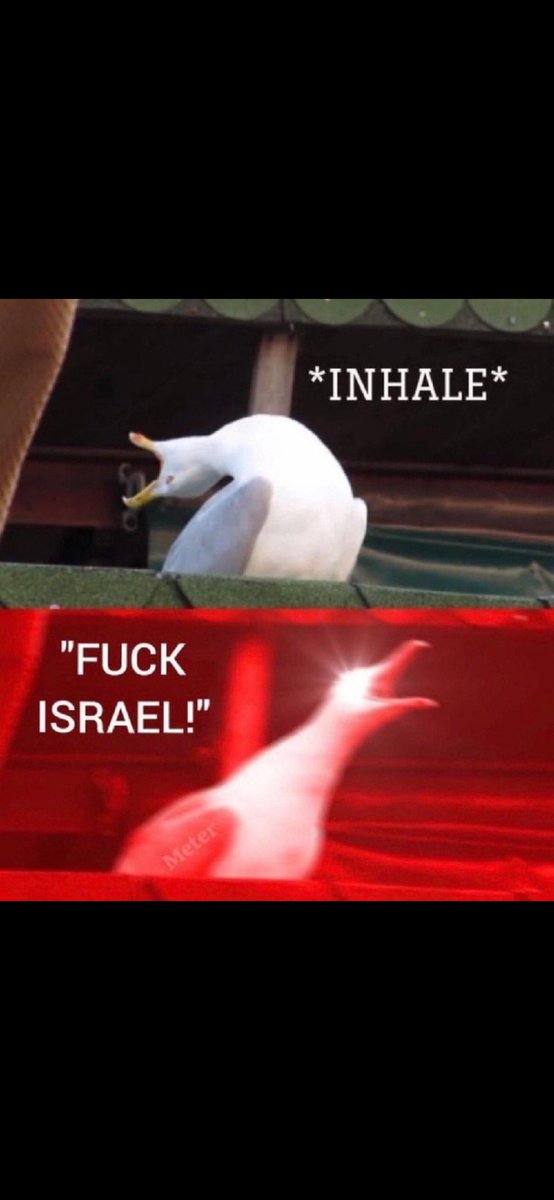 johntheripper tweet media