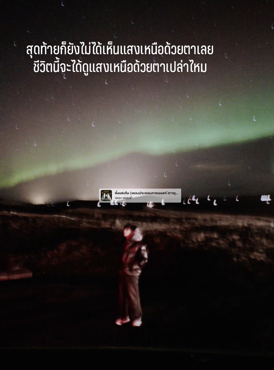 ตุ๊บป่องด๊องด่อง🐥 tweet media