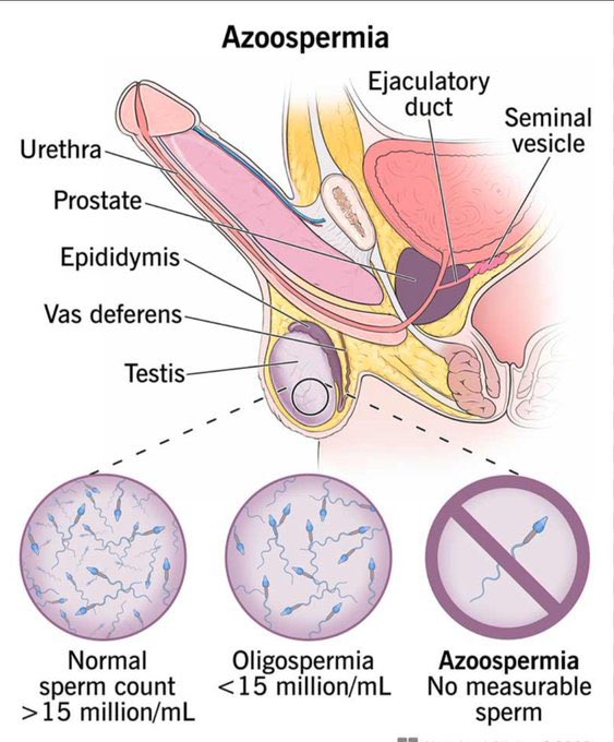 Dr. Emma Blake | Men's Health tweet media