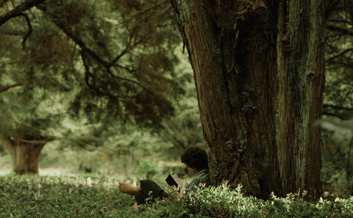 Historical Chronicles tweet media