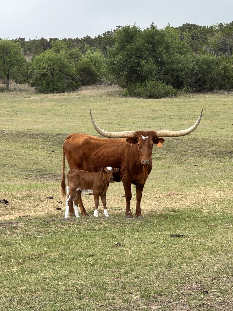Rancher Dustin 𓃒 tweet media