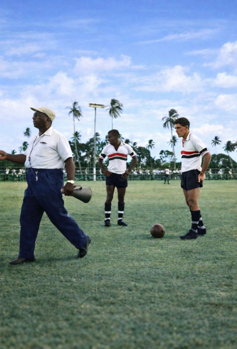 Conselho Deliberativo - Santa Cruz tweet media