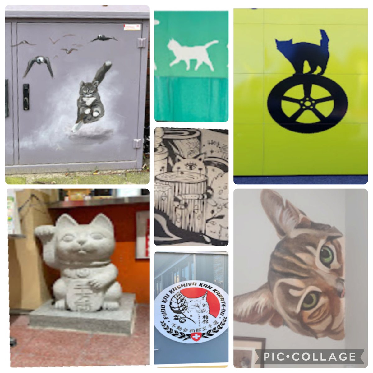 OneEyedCat tweet media