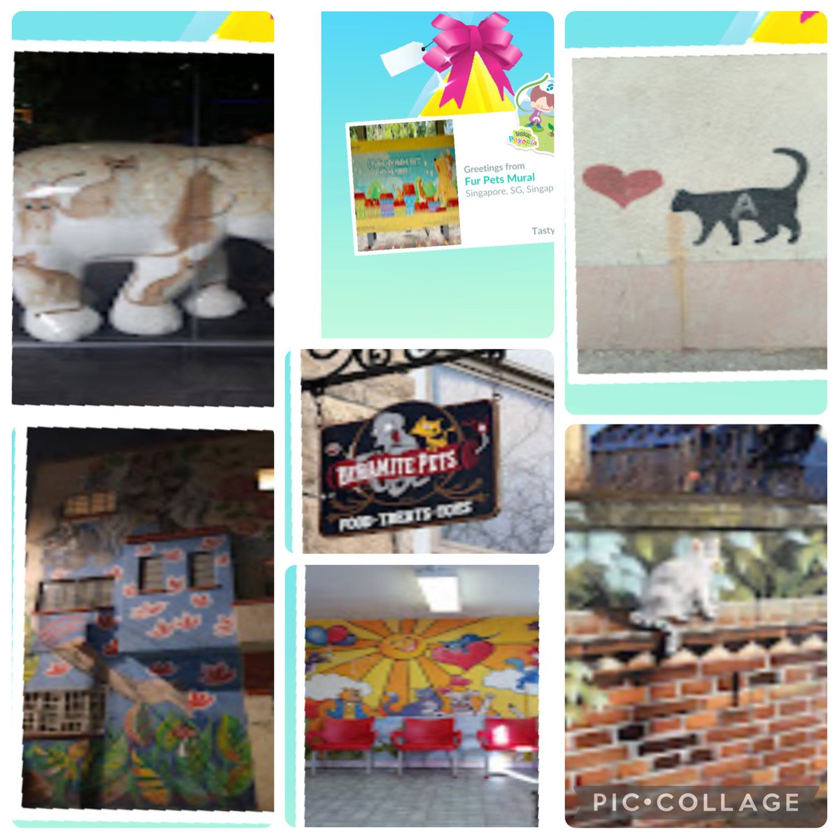 OneEyedCat tweet media