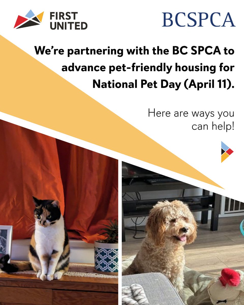 First United tweet media