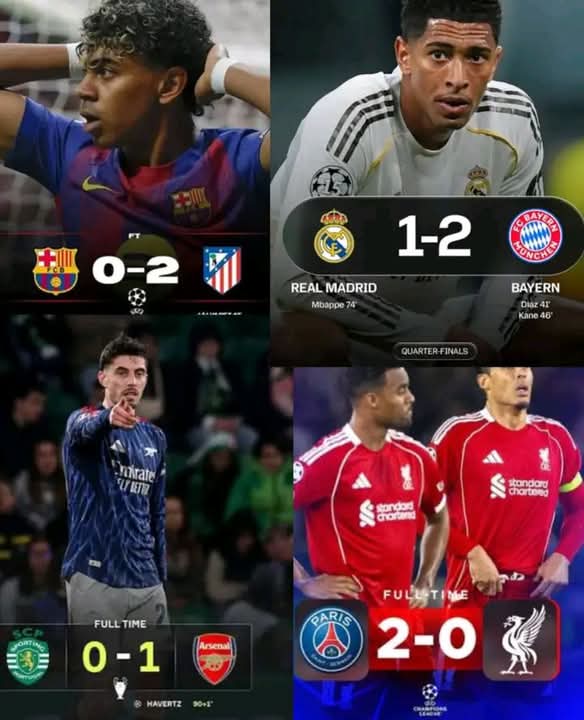 CHIMAOBI 🐅 tweet media