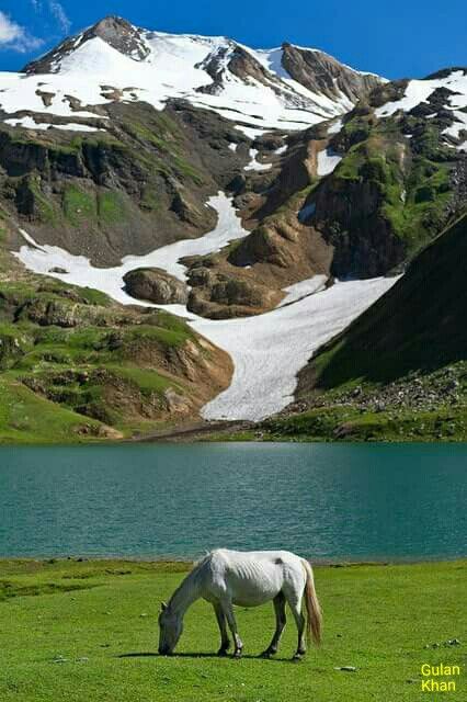 David Huang tweet media