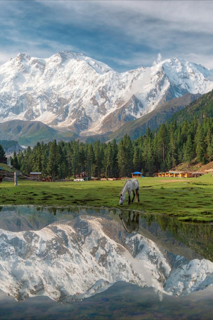 David Huang tweet media