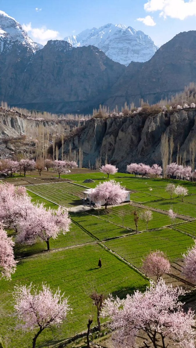 David Huang tweet media