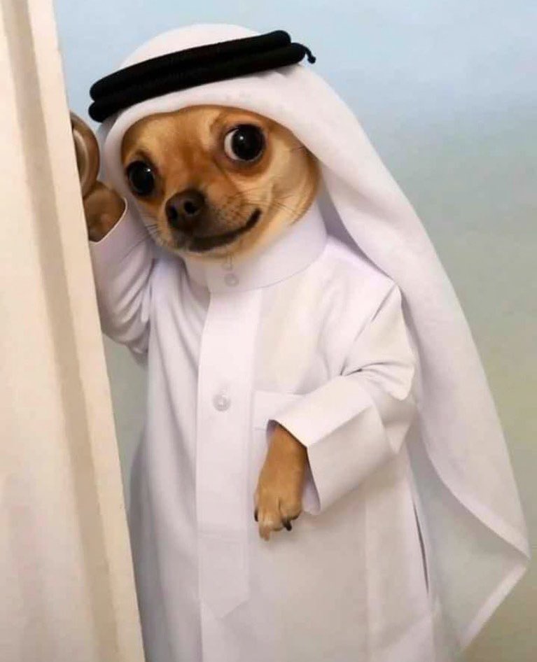 summer 🍭 🇺🇬 tweet media