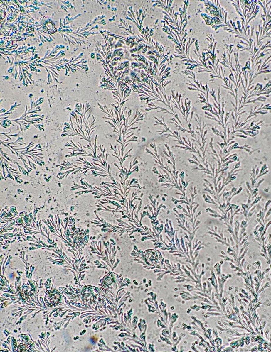 Science & Astronomy tweet media