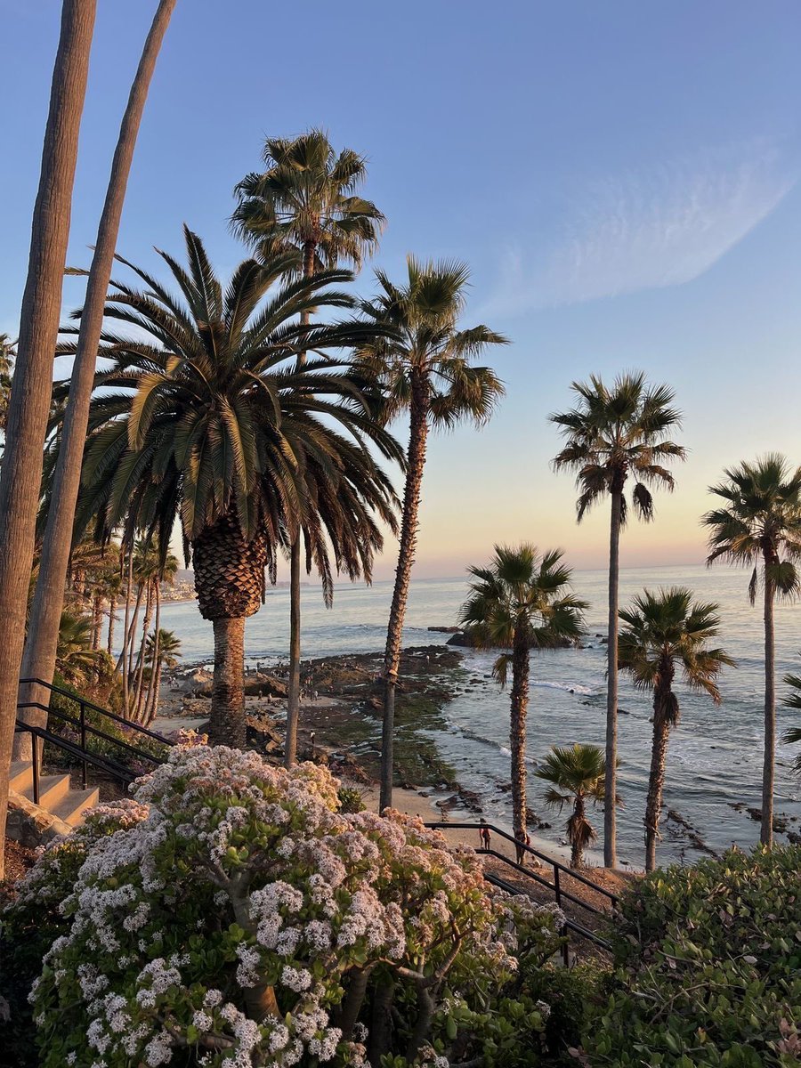 vistaaura tweet media