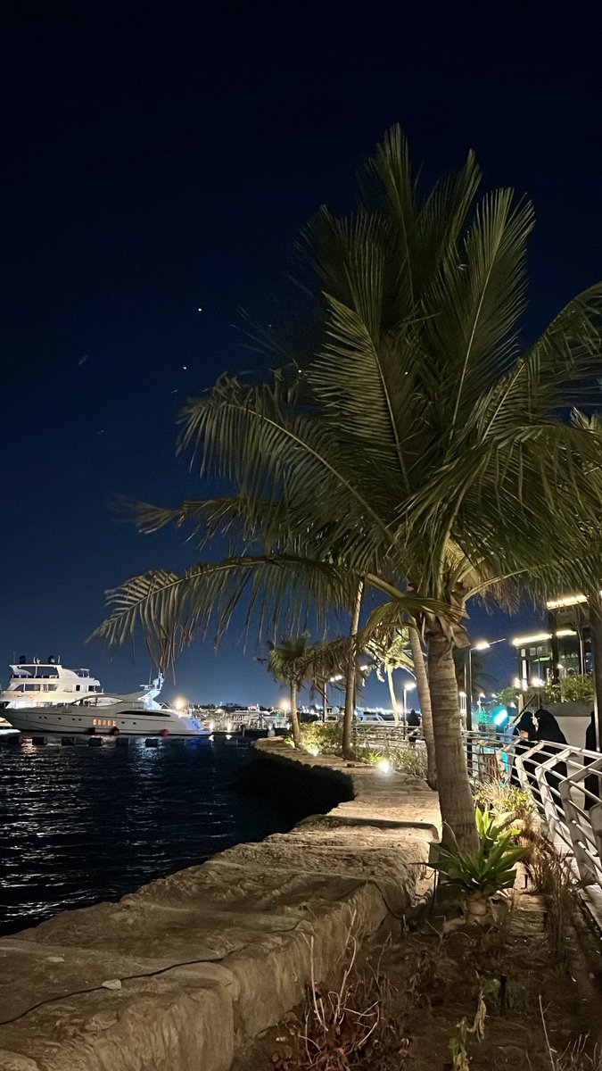 جواهر tweet media