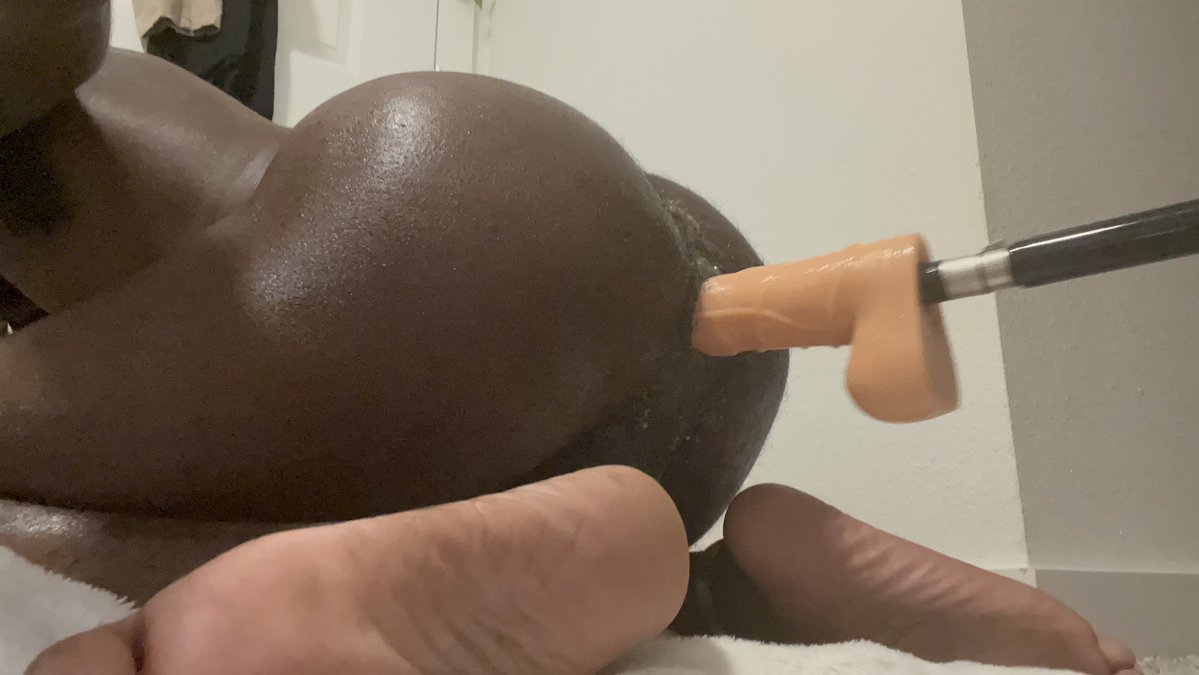 PIGBOY LEO (10k) tweet media