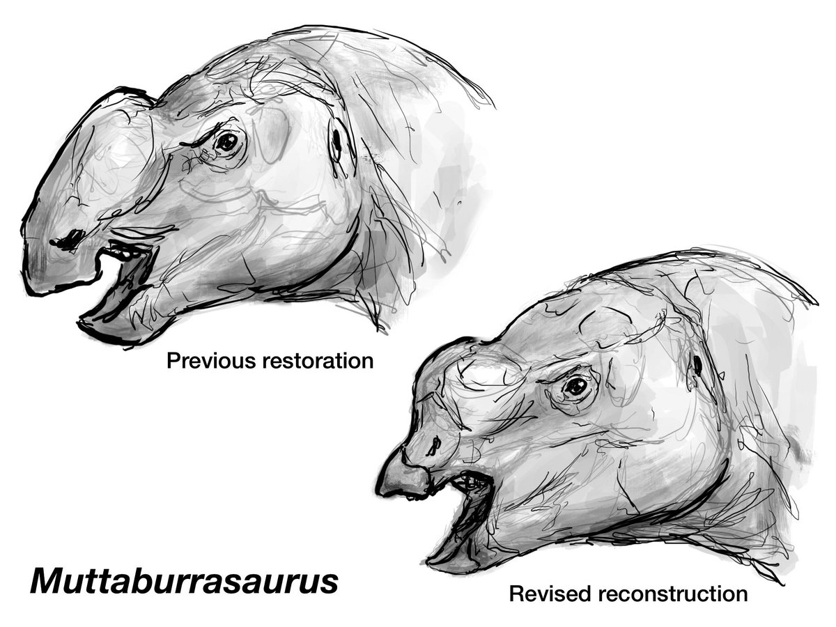 김상진 tweet media