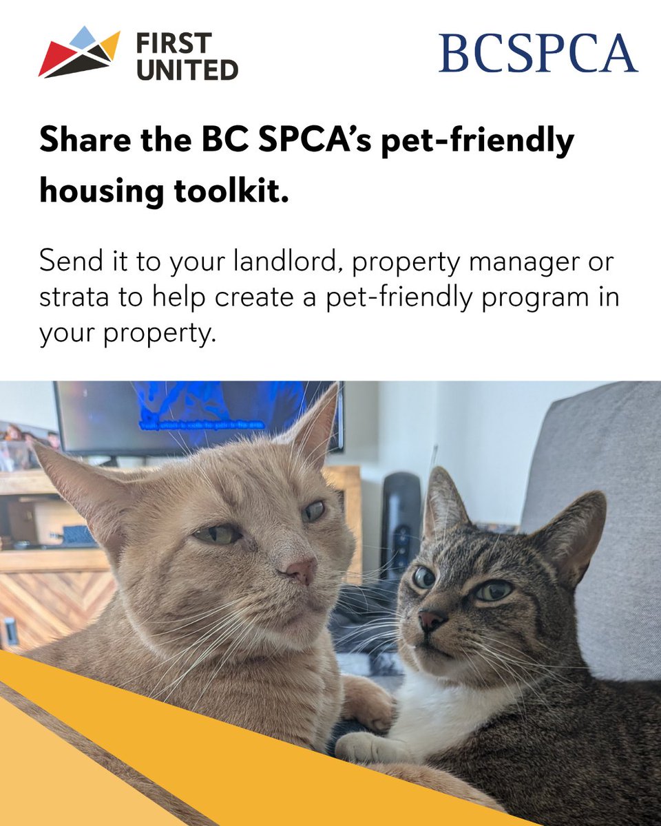 First United tweet media