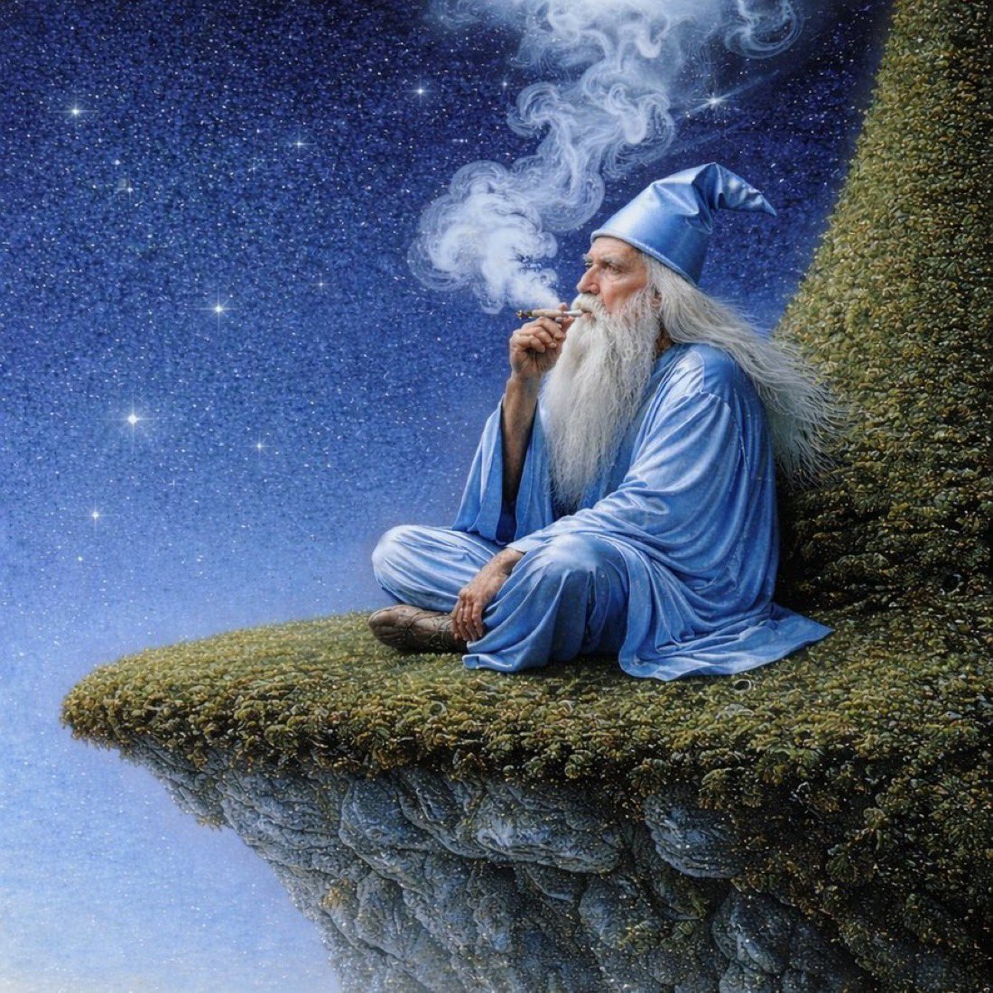 Tyler 🧙‍♂️ tweet media