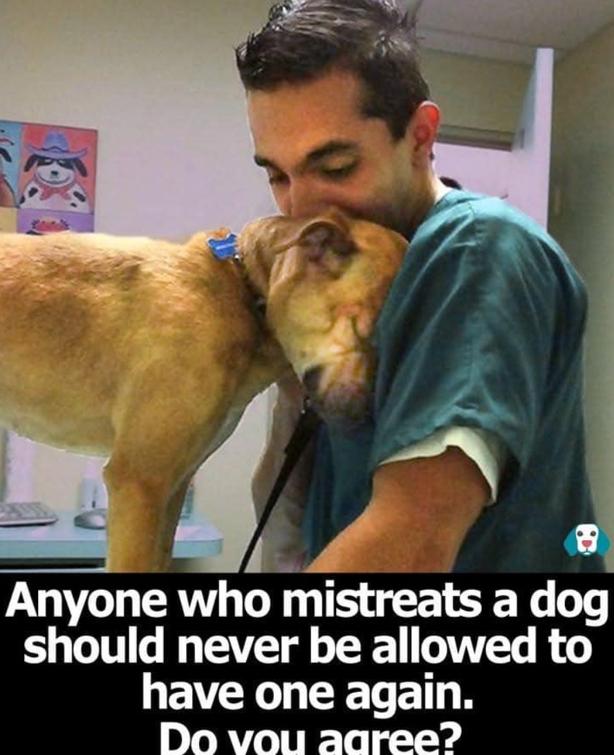 Pawzazzle tweet media