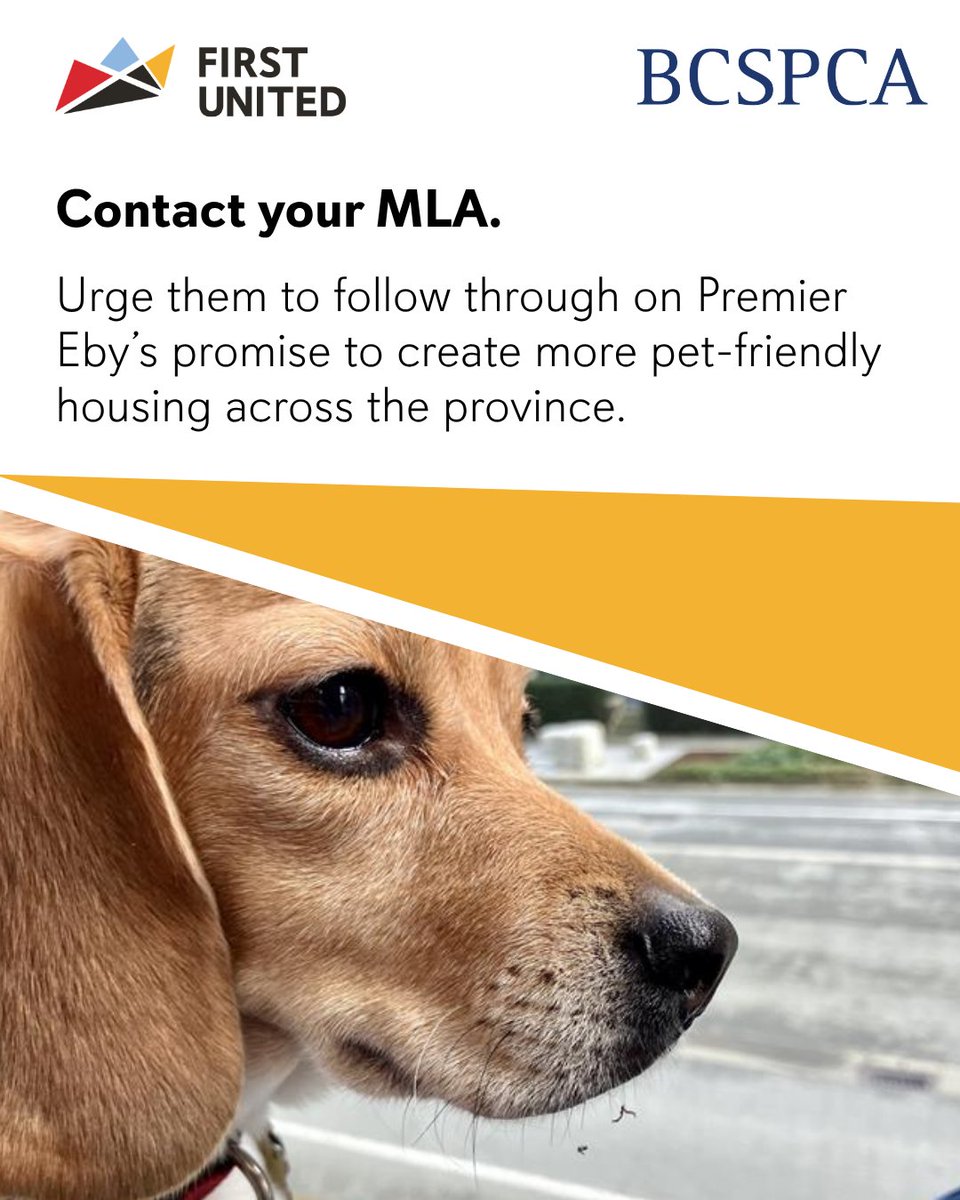 First United tweet media