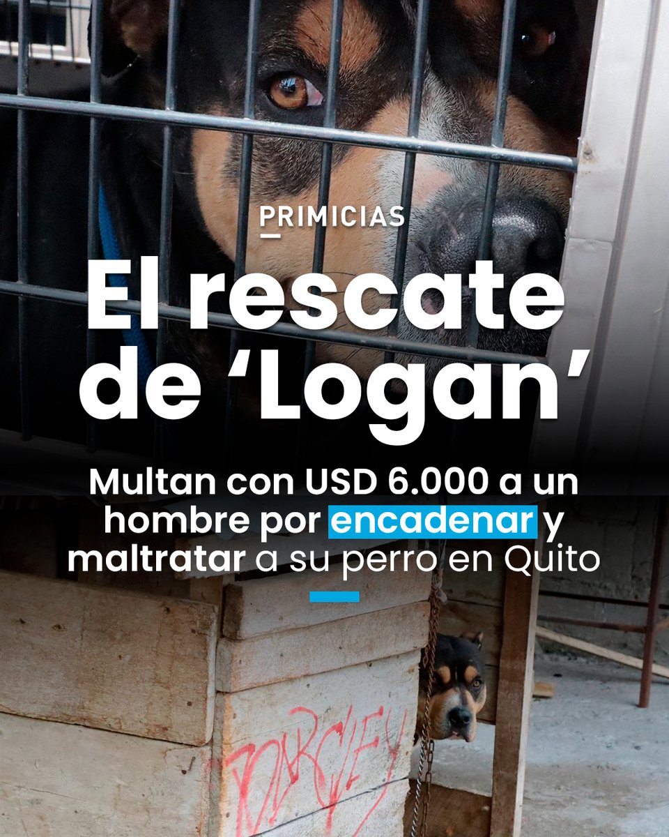 Primicias tweet media